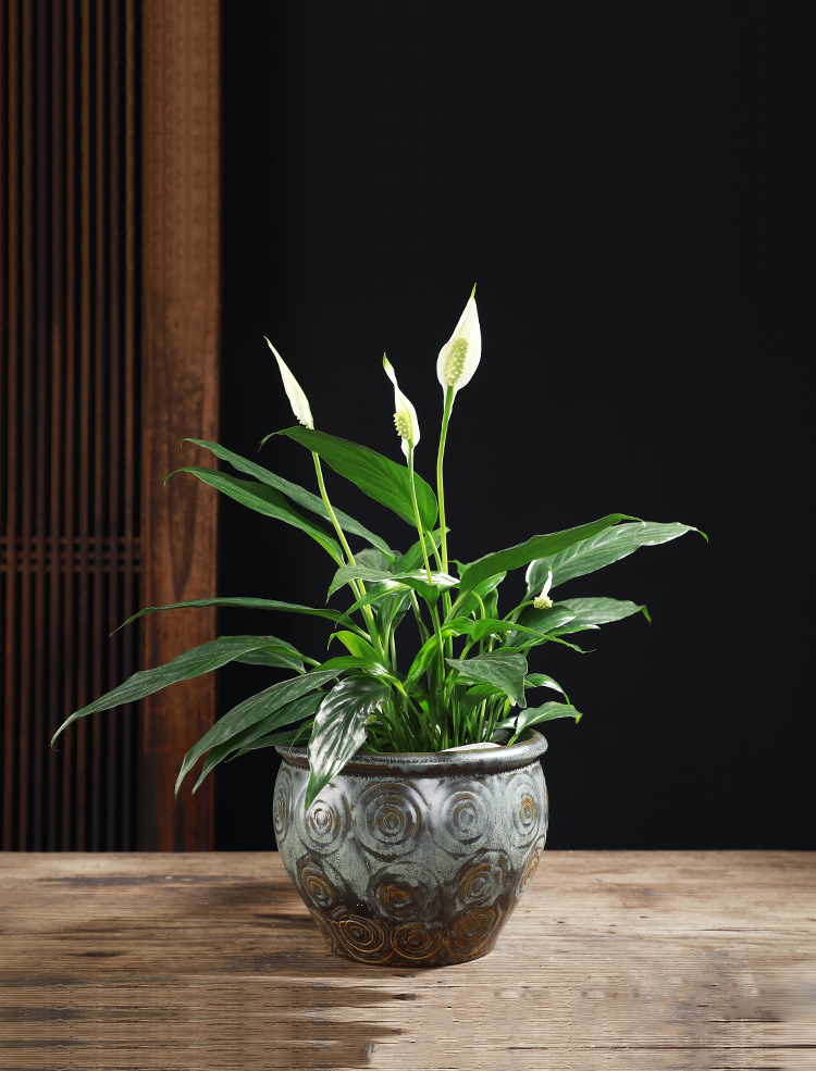 花盆2_03.jpg