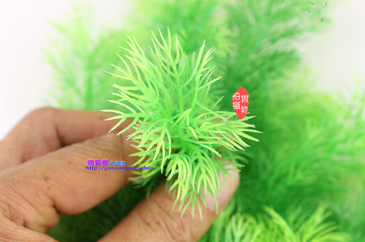 TB2AgG4tpXXXXXaXFXXXXXXXXXX_!!