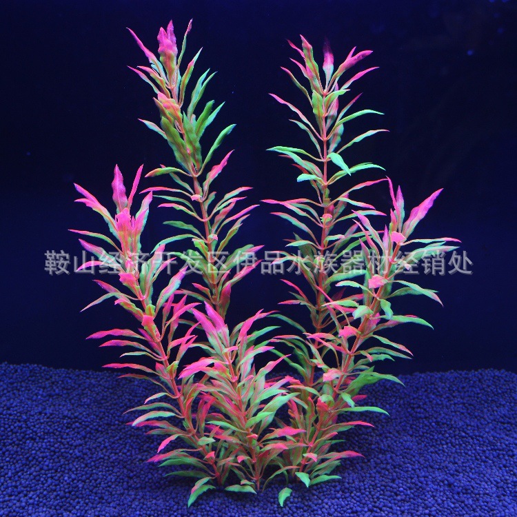 O1CN01XZV9Rm1KVtxcSOpYT_!!1035