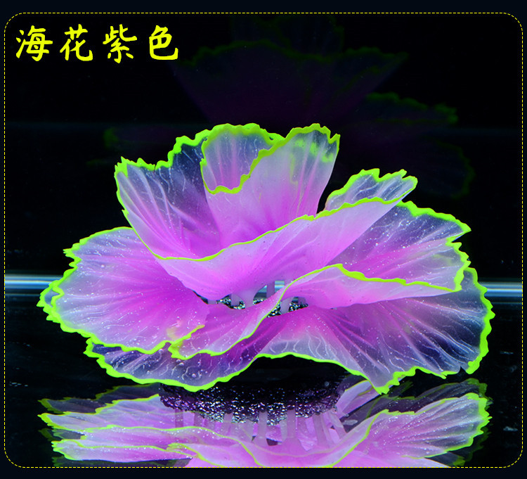 O1CN01KSnzrh2FKqSIhYnLm_!!2200