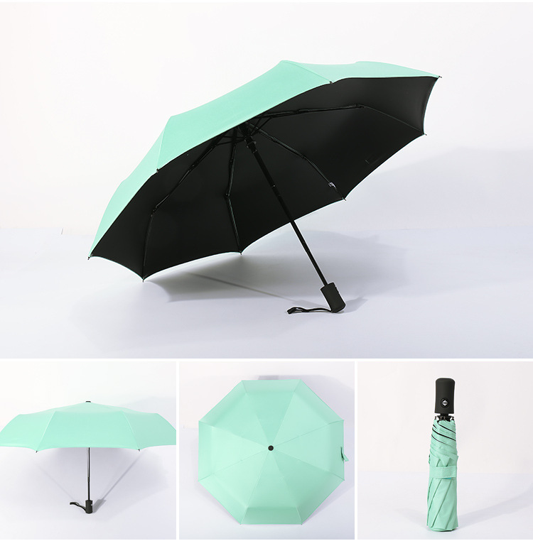 10938466800_892876578