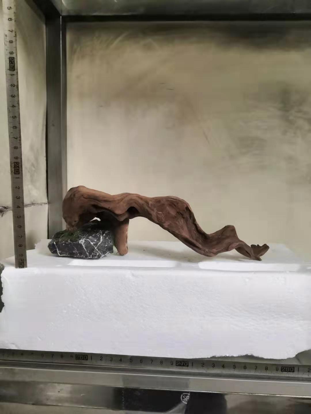 微信图片_20190926112716