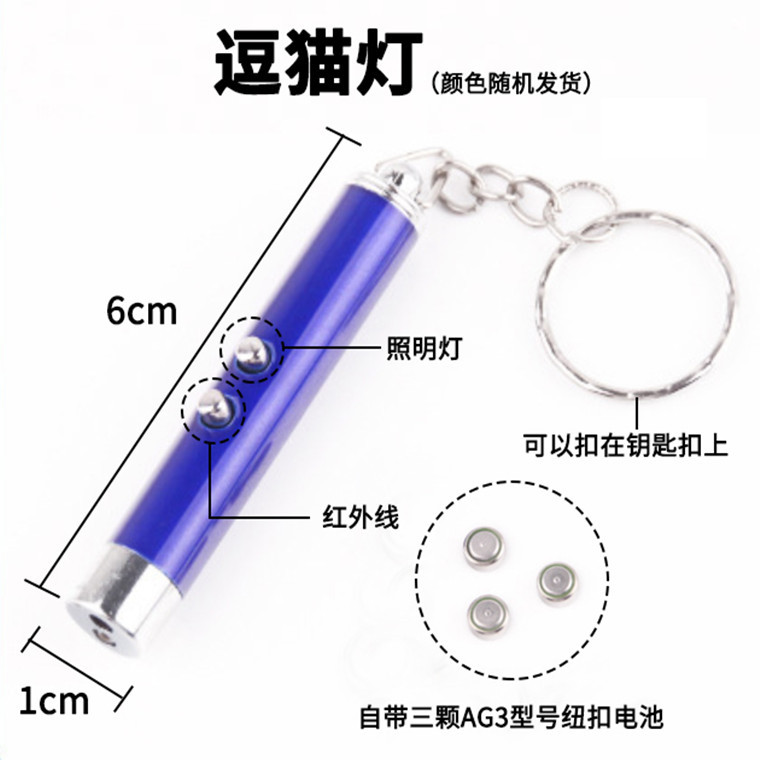 逗猫灯_副本