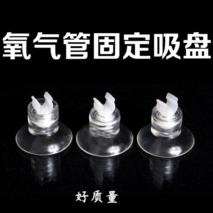 2731840708_1103982721