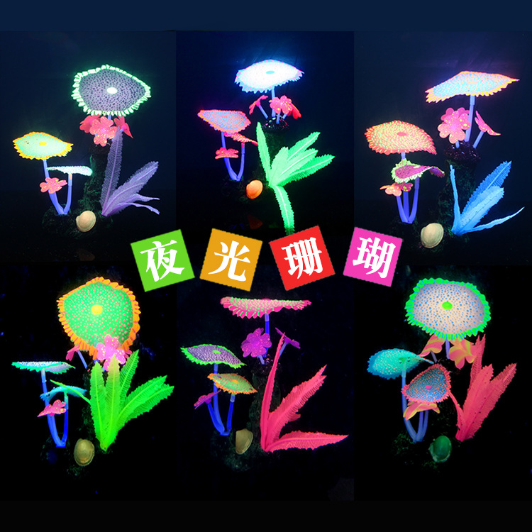 主图