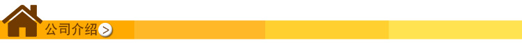 公司介绍