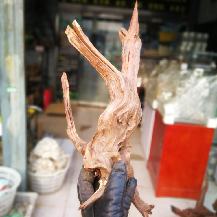 小沉木景观造景天然素材undefined