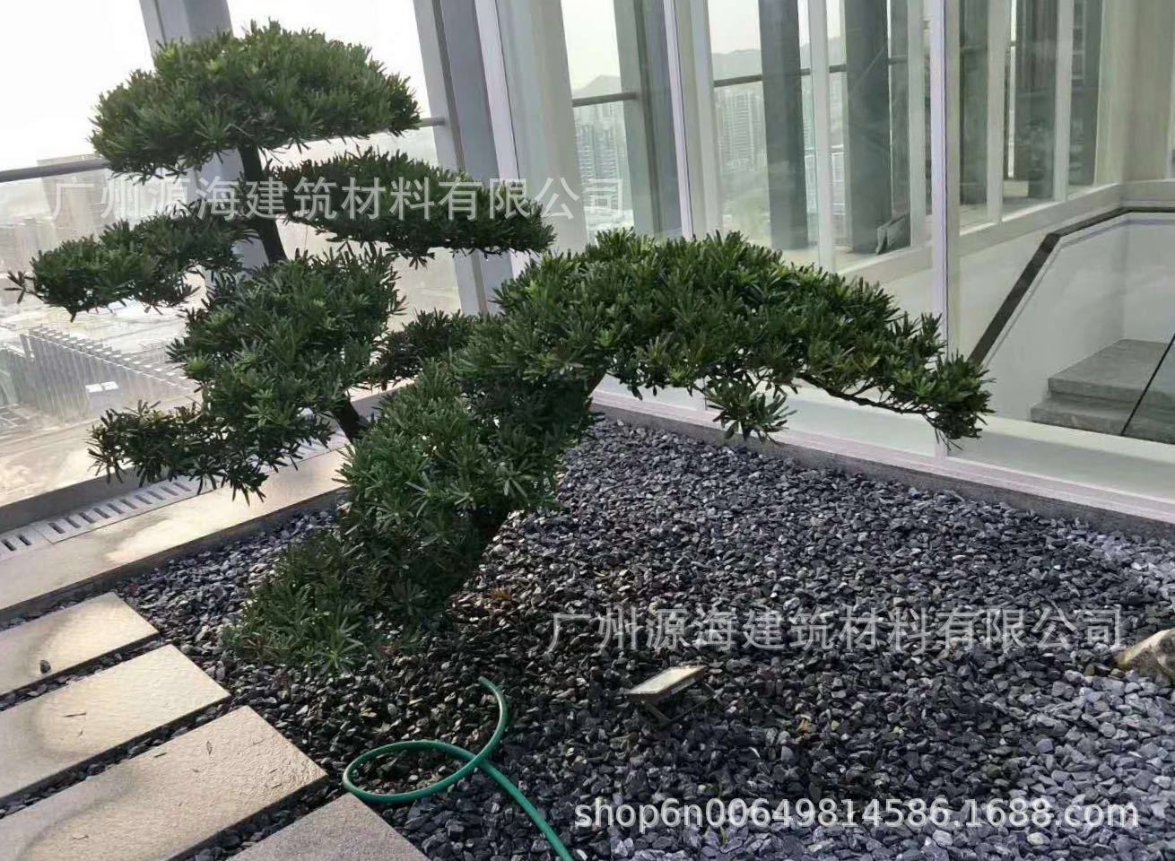 微信图片_20190705154821