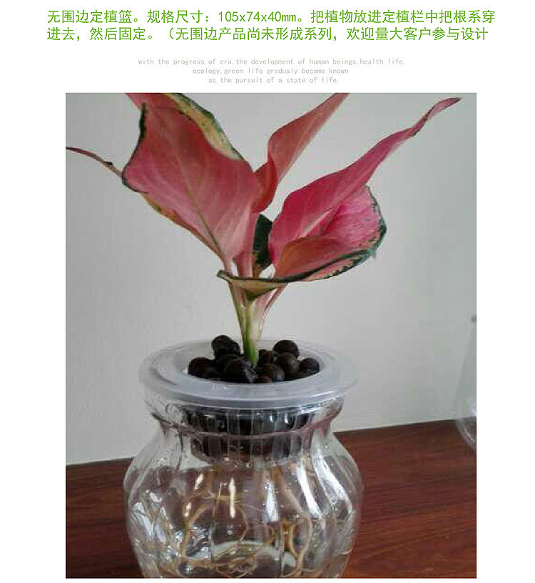 O1CN01uoTte42054XM5xaij_!!2862