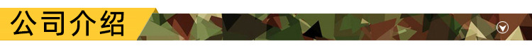 公司介绍