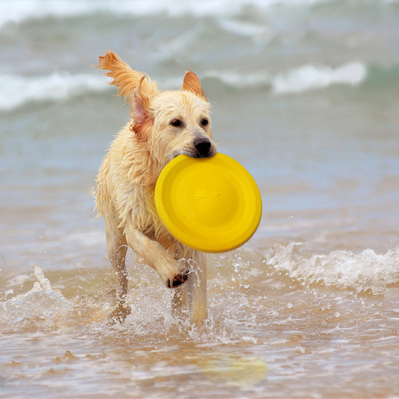 adc86930462f4224b7a9fde373d636