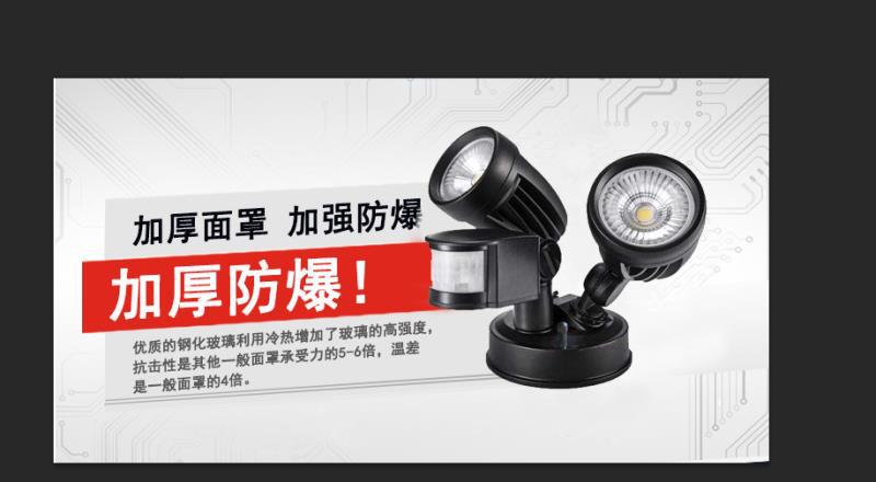 别墅花园墙壁照明人体感应灯