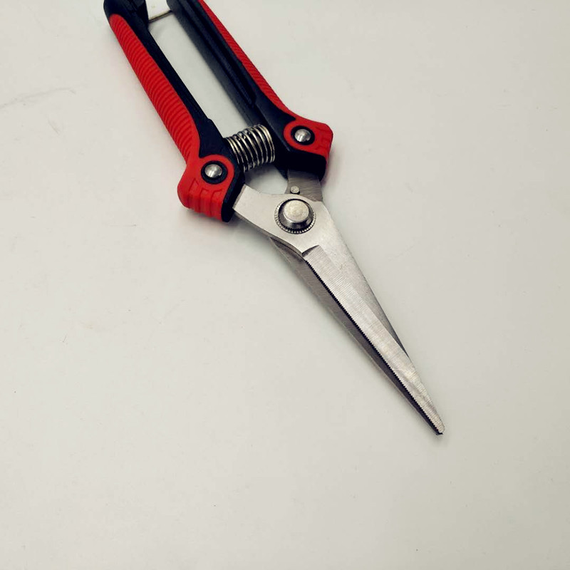 微信图片_20190502125639