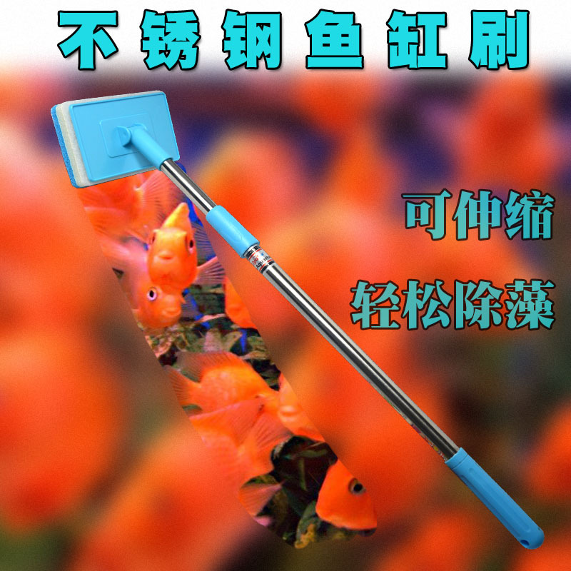 O1CN012MbyW8h6UhQh4tS_!!376709