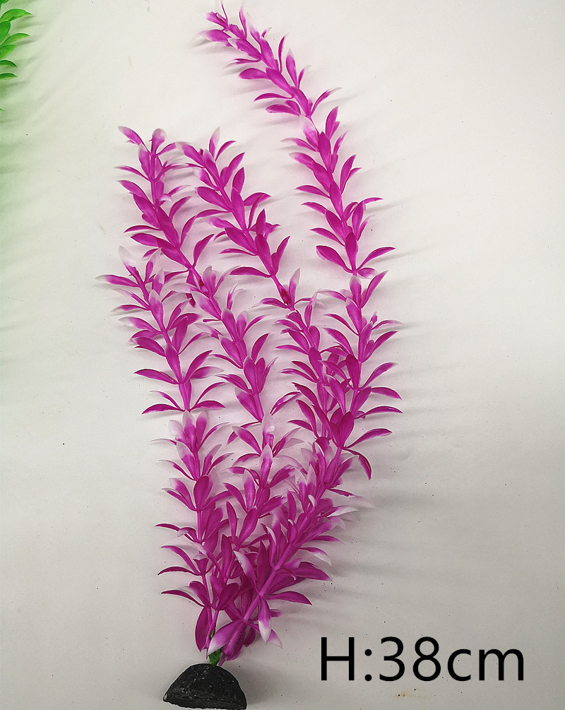 IMG_20190701_103654_副本