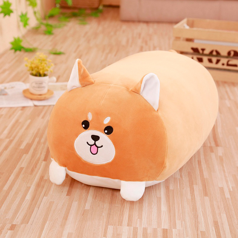 柴犬.jpg