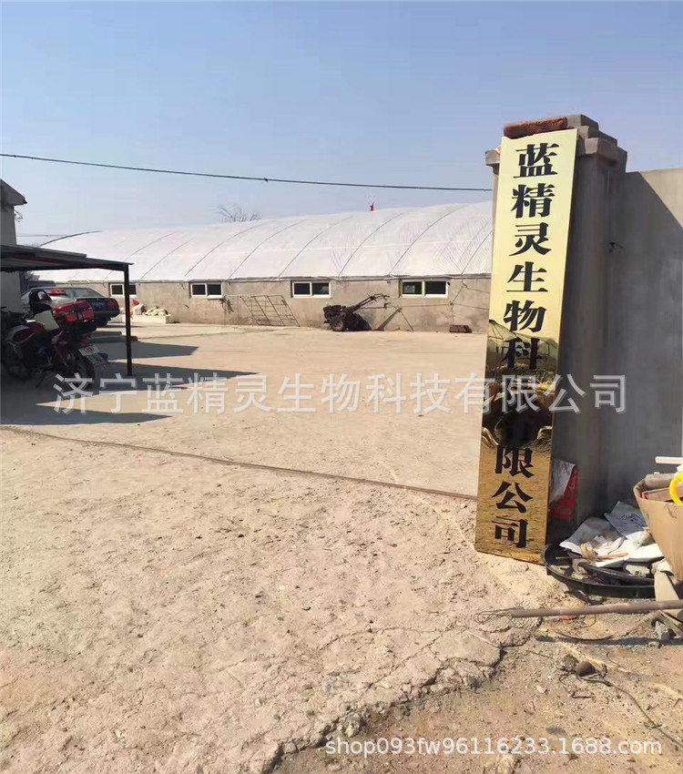 微信图片_20191018090239_副本.jpg