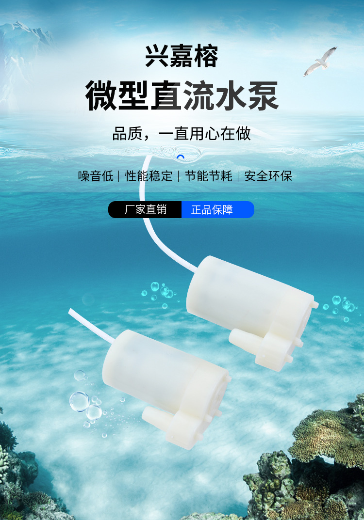 兴嘉榕-2_01.jpg