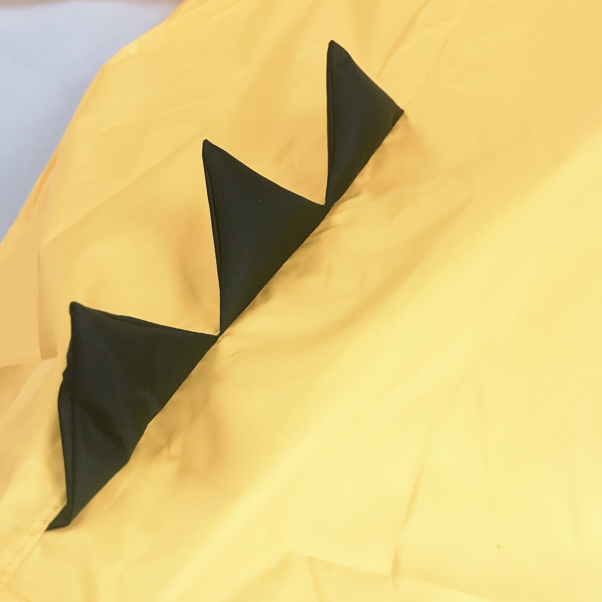 3.8IMG_6390(20190103-021415)