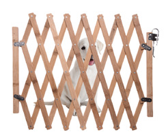 微信图片_20191208174603