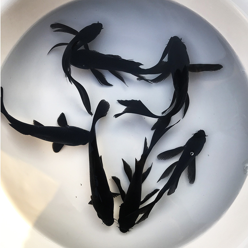 微信图片_20191103160644