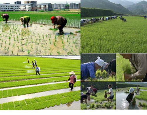 TB2PhzwlVXXXXaeXXXXXXXXXXXX_!!