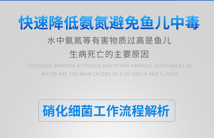 硝化细菌胶囊散装_05