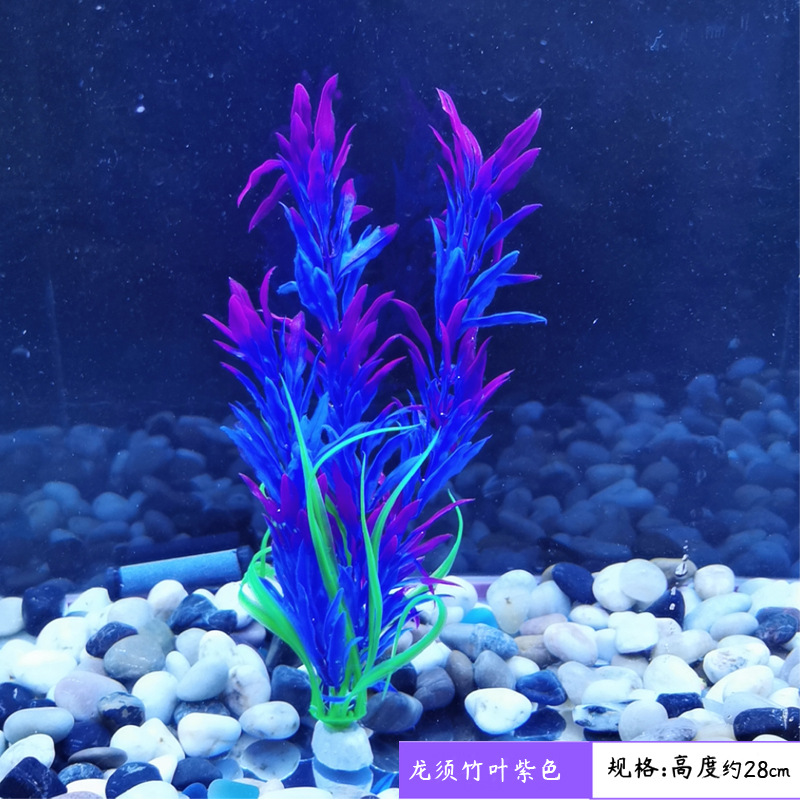 3节龙须竹叶紫色