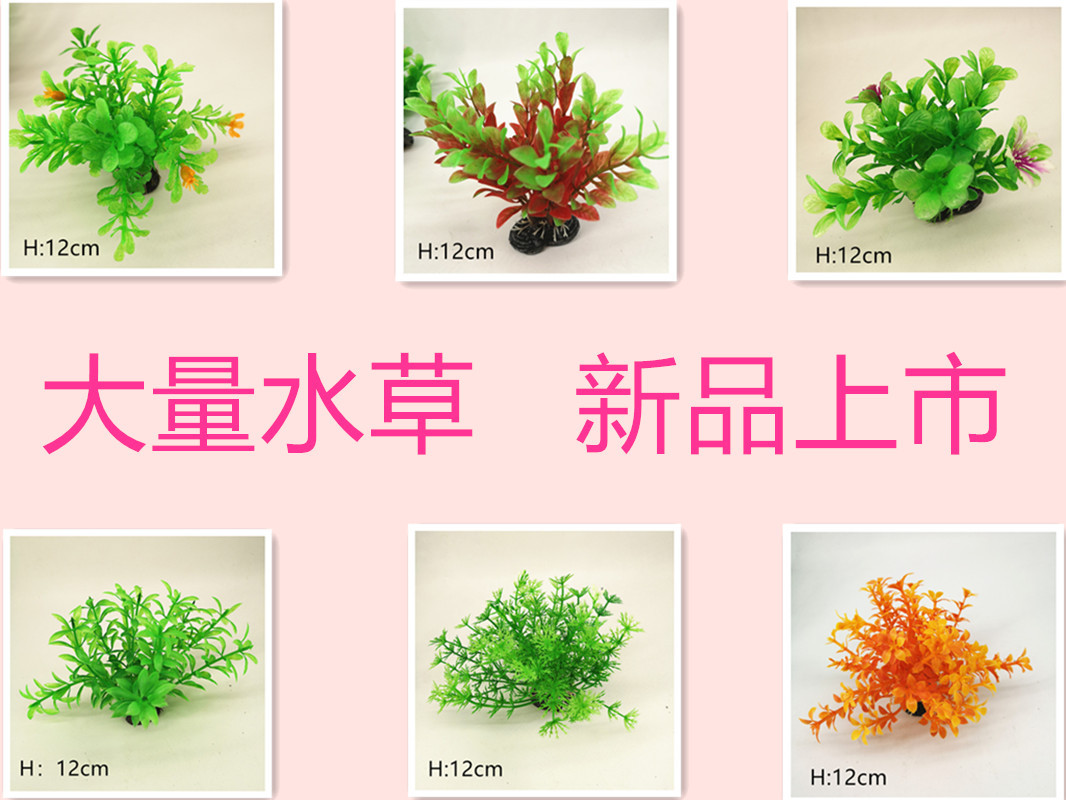 IMG_20190701_110312_副本