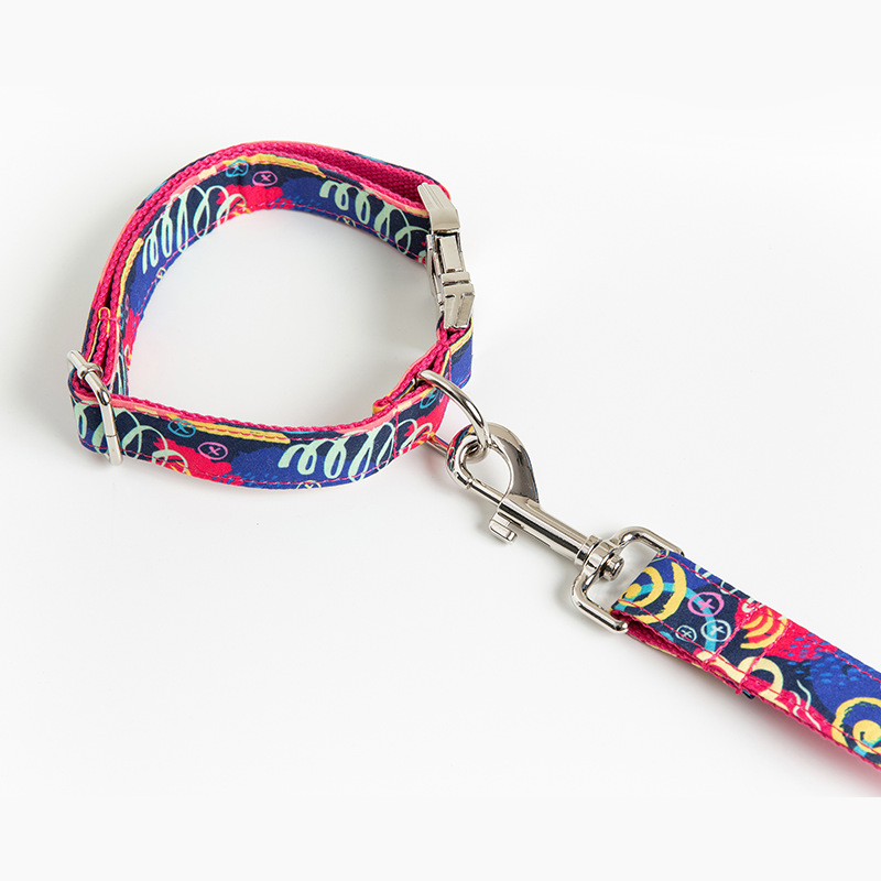 红涂鸦宠物项圈牵引绳套装 跨境亚马逊狗脖圈牵引带高档项圈狗链