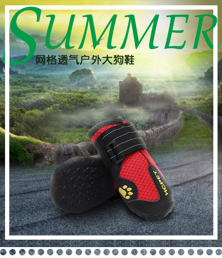 透气大狗鞋_r1_c1.jpg