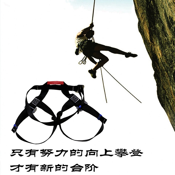 9138525_140054288663_2