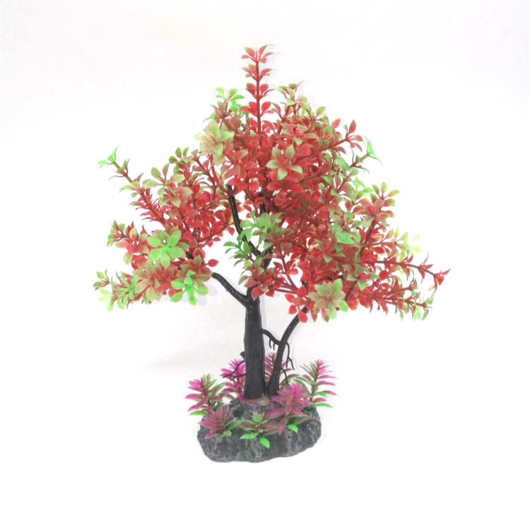 4645462323_584098406