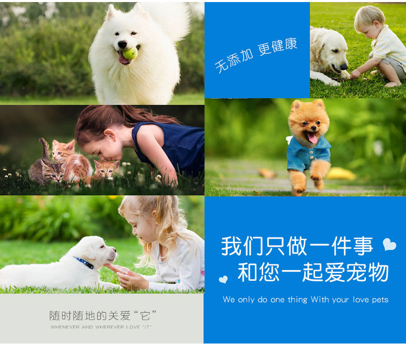 爱宠物.jpg