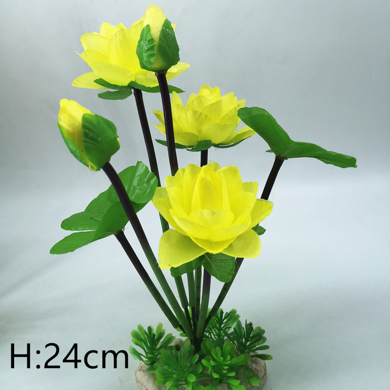 IMG_20190701_203704_副本