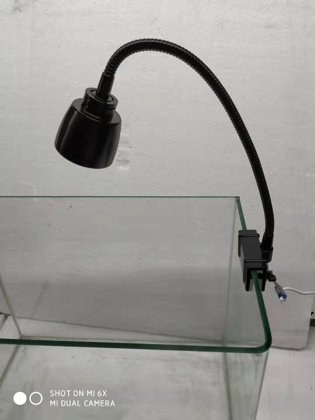 WeChat 圖片_20190901171148