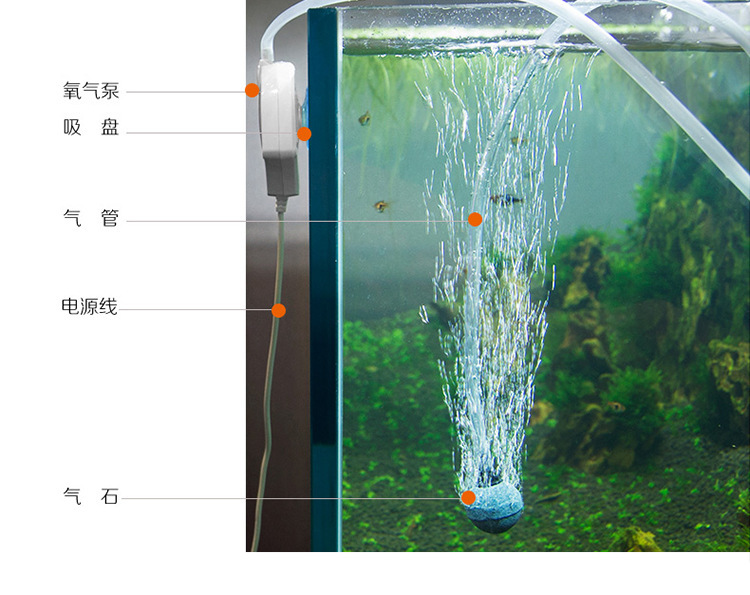 8194510762_286149321