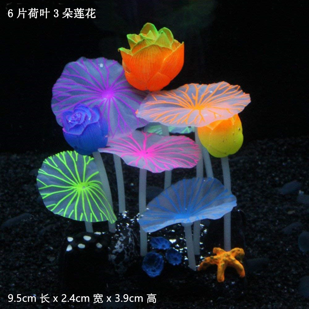 12102246039_1103982721