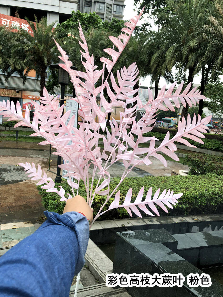 微信图片_20190503160626