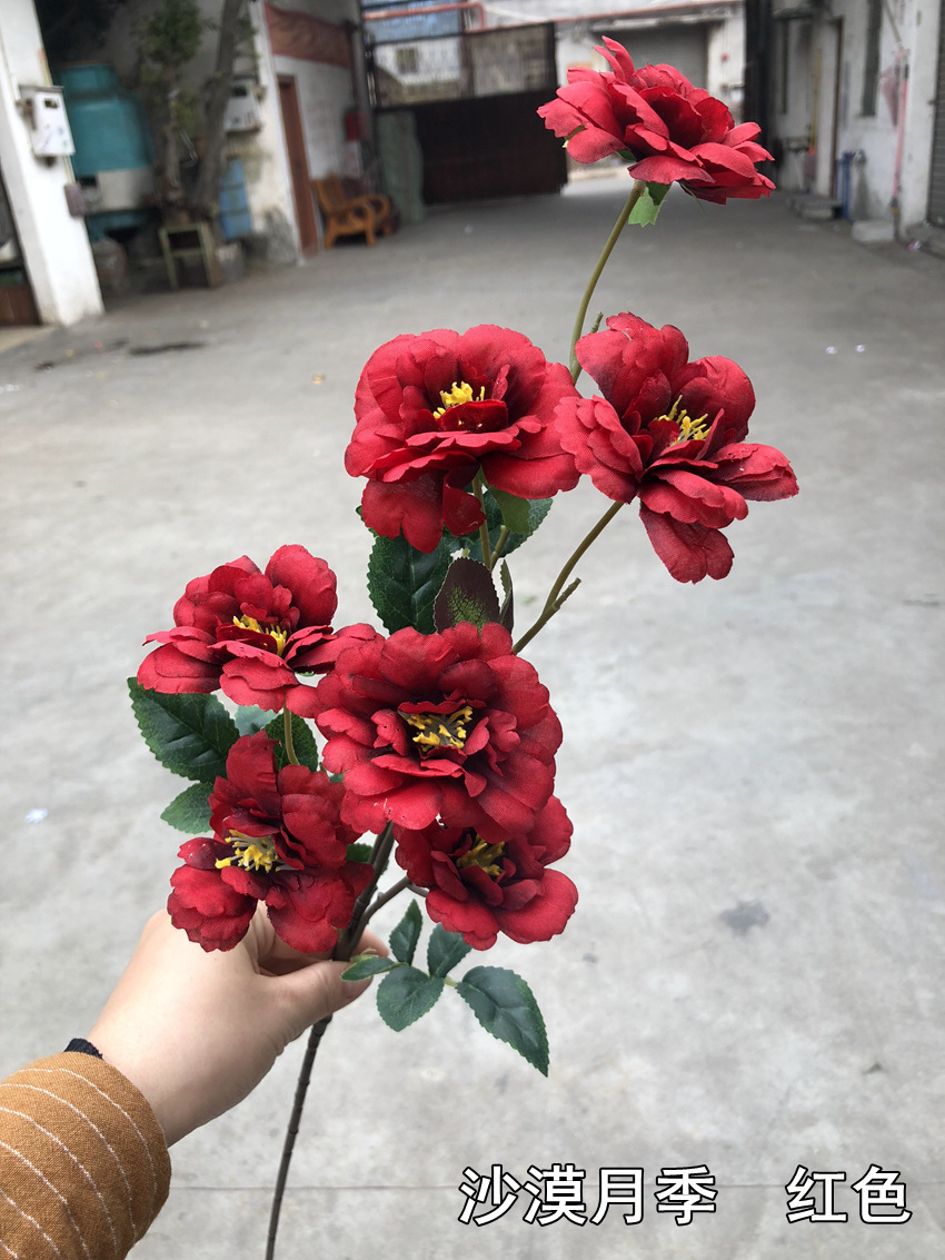 微信图片_20190121160947