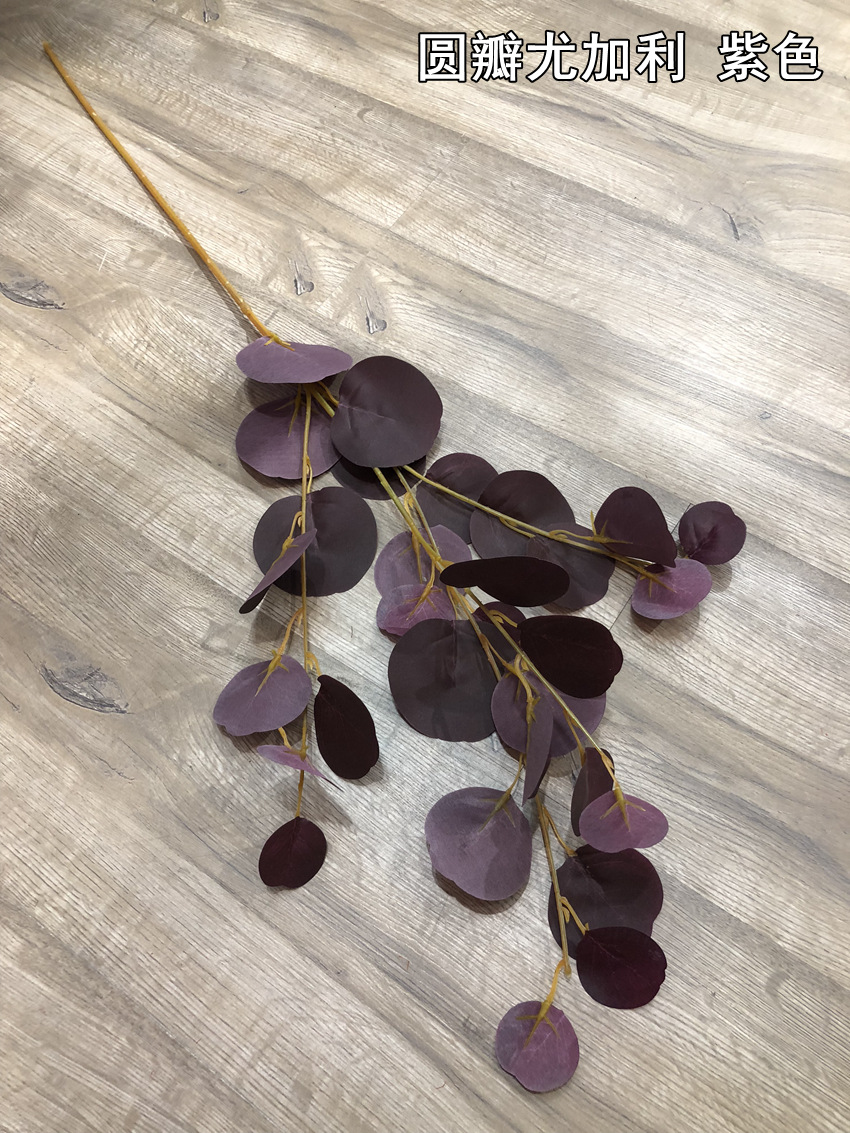 微信图片_20190525174014