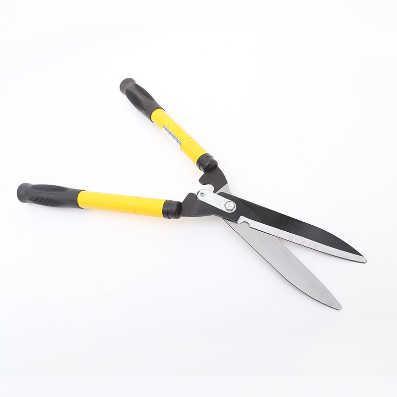 3759298477_1578675911