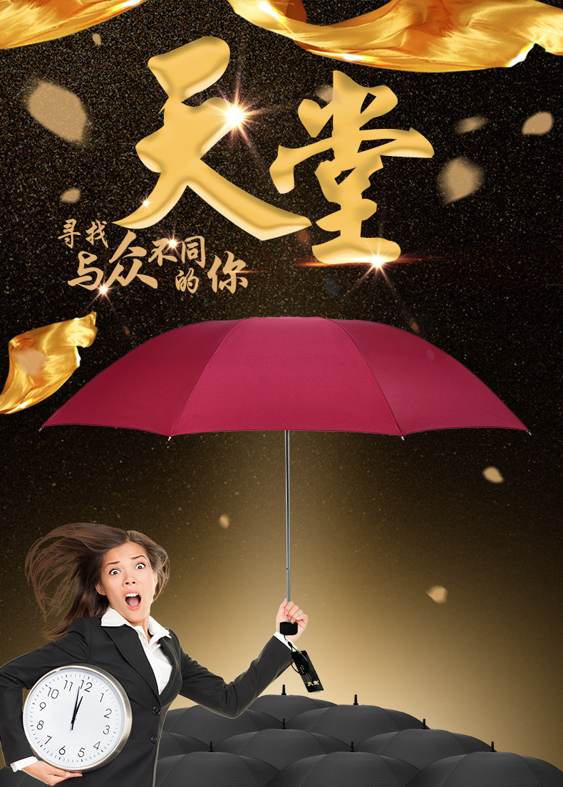 307E碰_01.jpg