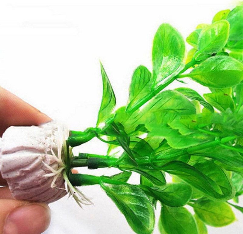 胖圆叶25cm绿色1