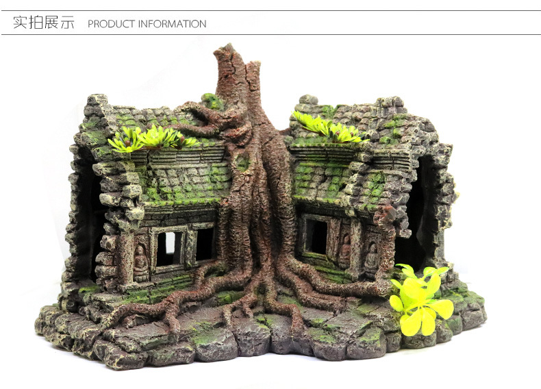 O1CN01PkCT9t1kDkBsQsISt_!!3081