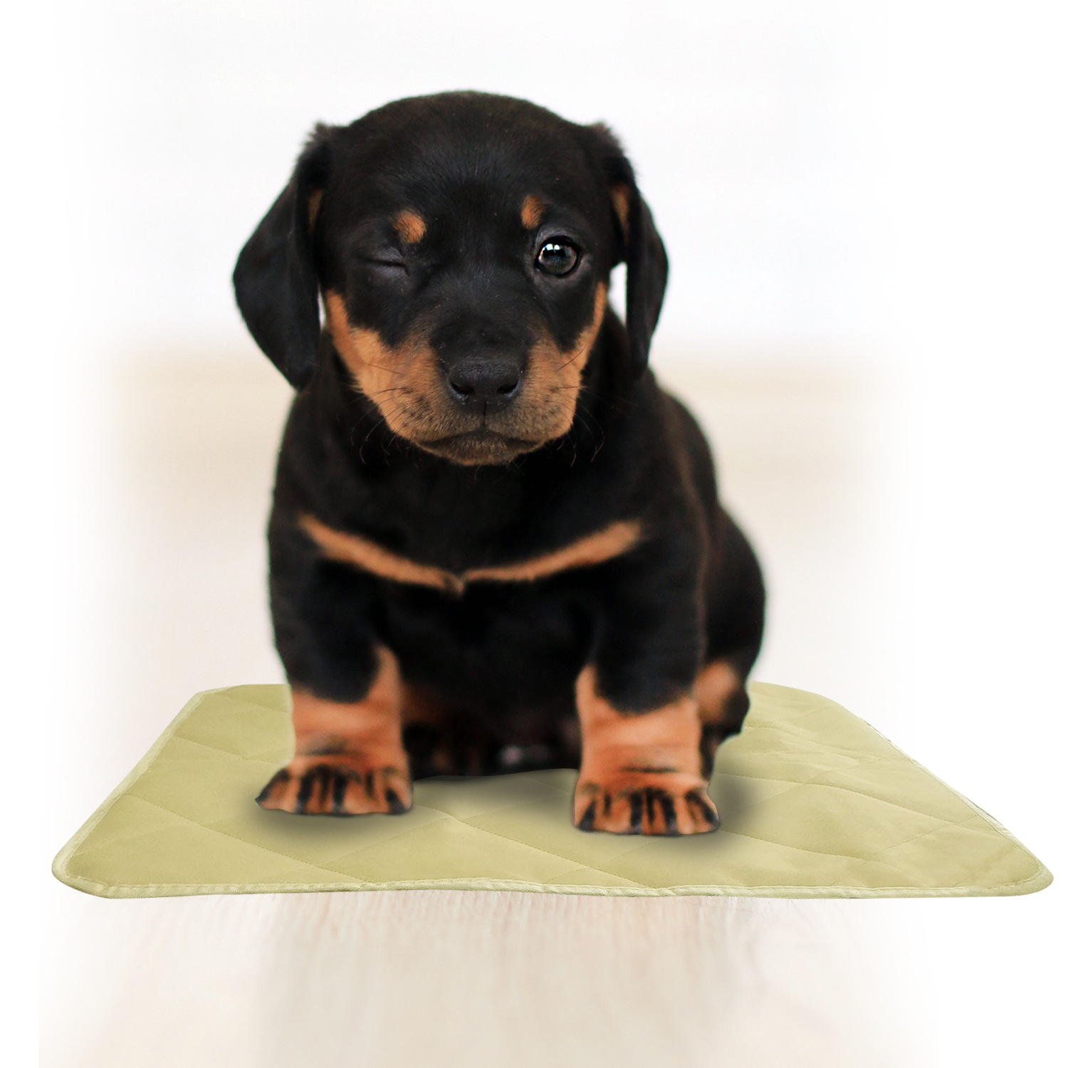 牛津布隔尿垫 (11)