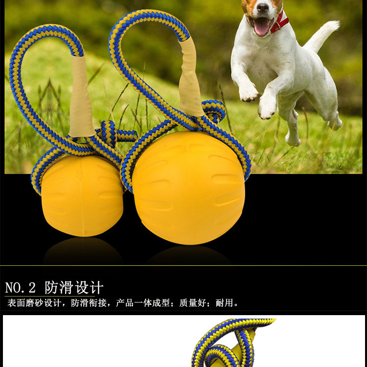 宠物球_05.jpg