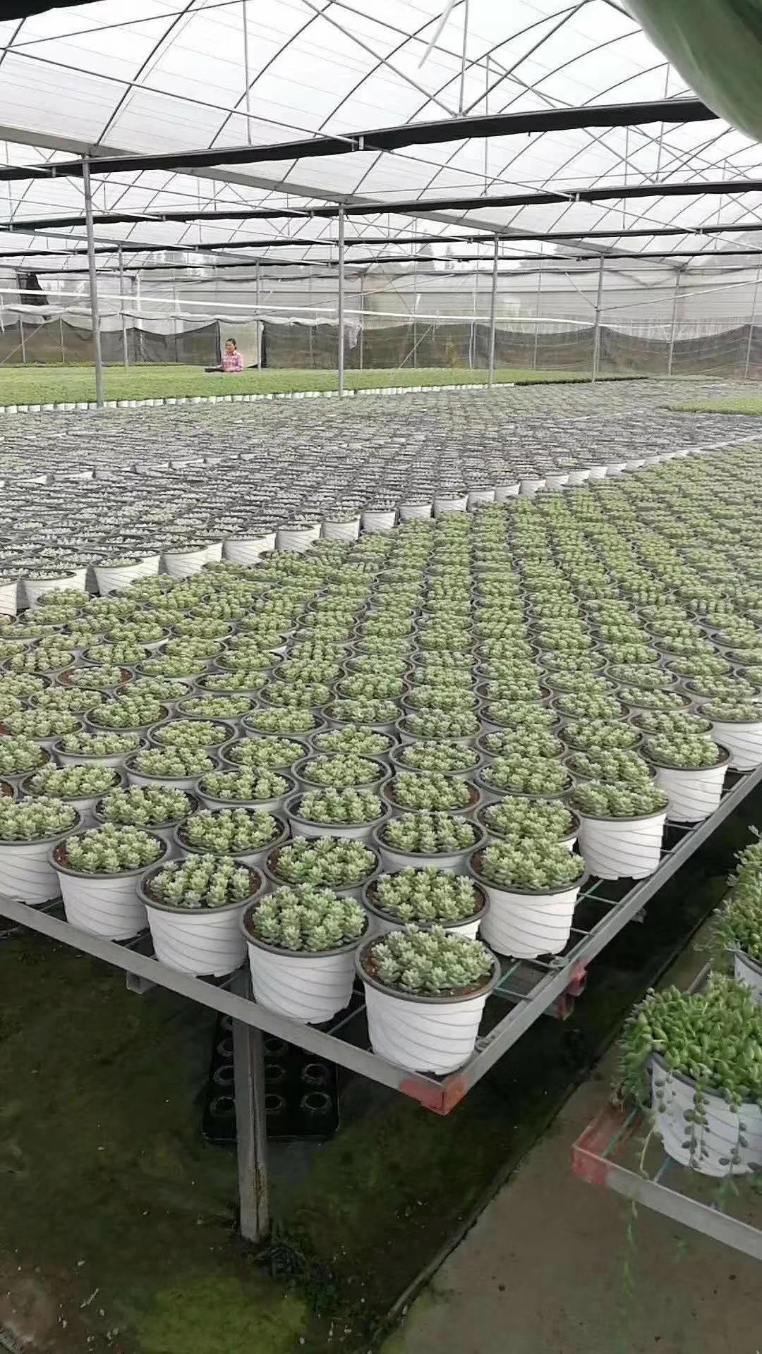 a6ba25ba5c8942d20b50fa00be9ba6