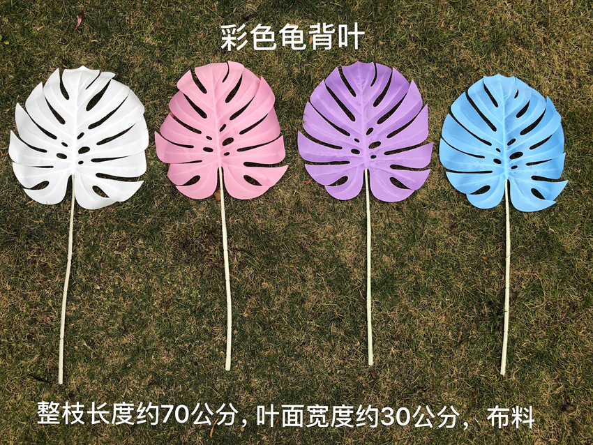 微信图片_20190123162954