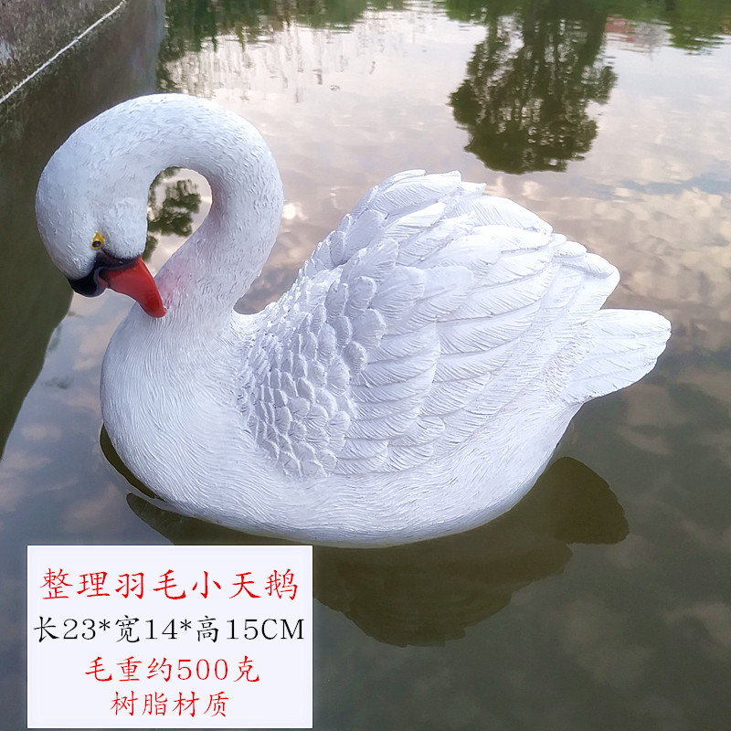 小天鹅